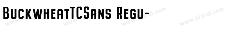 BuckwheatTCSans Regu字体转换